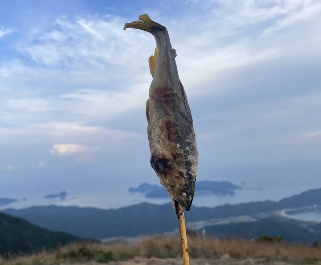 延岡市で購入した鮎の塩焼きを鏡山の展望スポットで味わう様子。地方移住では自然を楽しむ休日の過ごし方も魅力の一つ